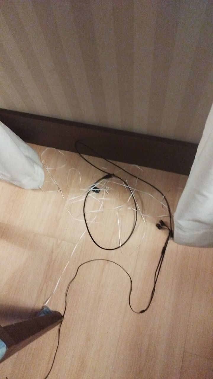 Foto de la entrada «El T1000e que se tiró por la ventana (y volvió pescado)»